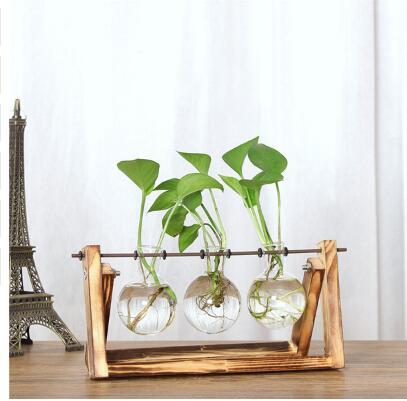 Glass Terrarium Table Top Planters