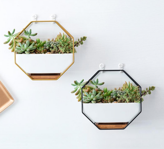 Geometric Ceramic Hanging Planter