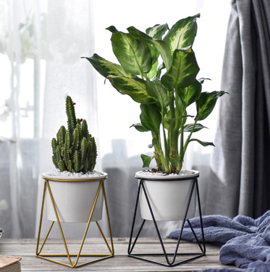 Nordic Geometric Ceramic Planter