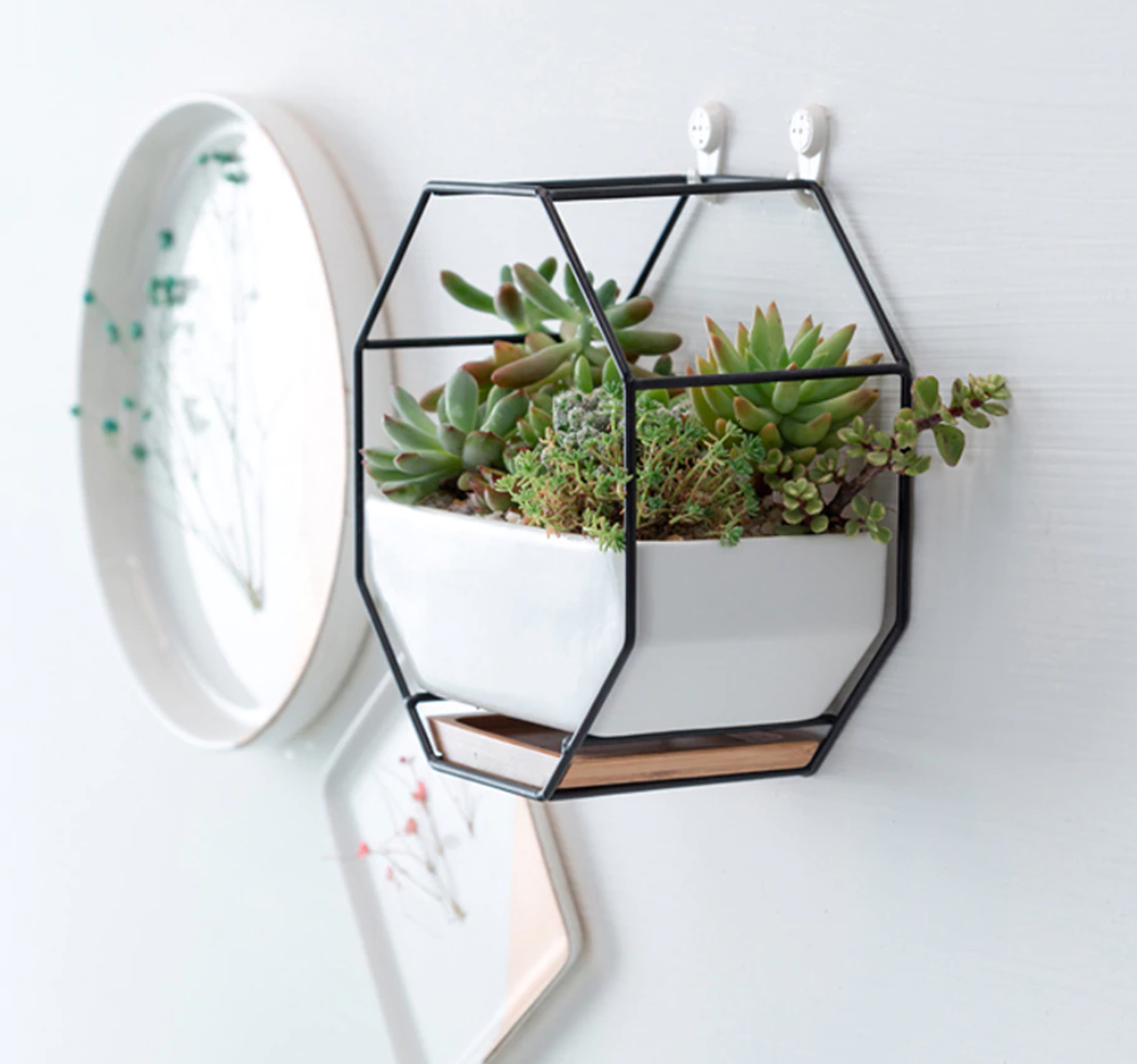 ceramic hanging planter australia Geometric Ceramic Hanging Planter